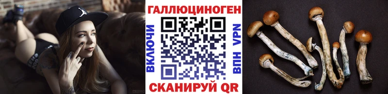 Купить Гремячинск Псилоцибиновые грибы Cubensis